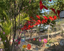 Hình ảnh các cô hưởng ứng tuần lễ áo dài